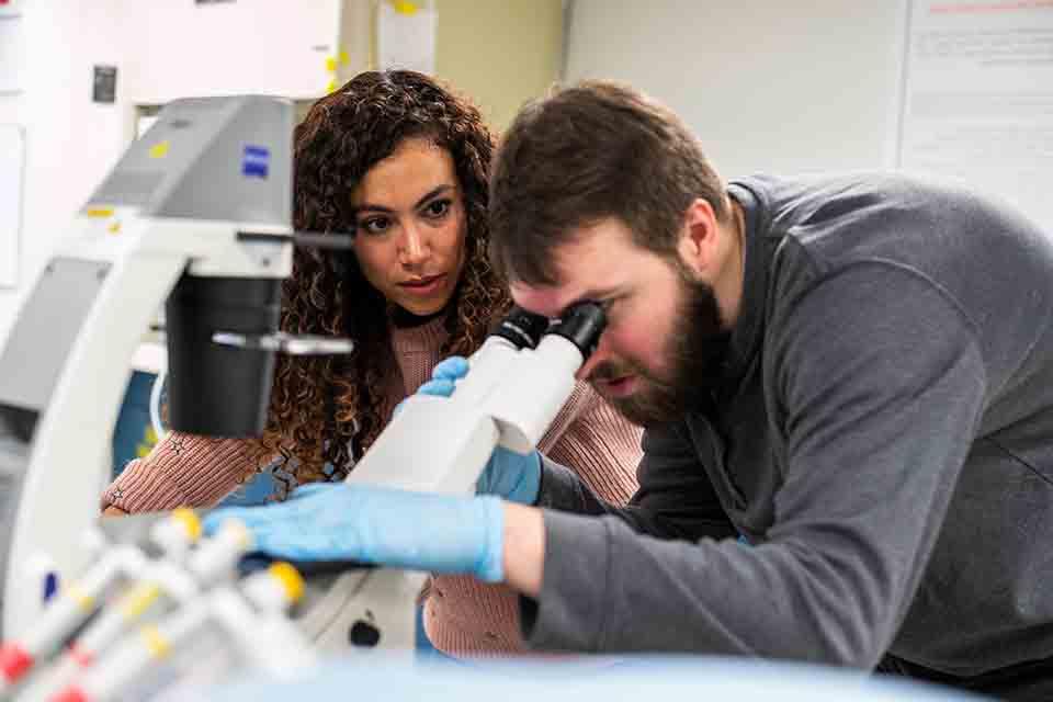 Students in a tissue lab